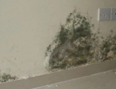 Δείτε πως να εξαφανίσετε τη μούχλα σε χρόνο «μηδέν» (βίντεο)